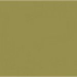 Paint and Paper Library Wattle V Paint